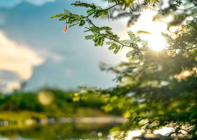 pexels-wisdomsky-1673973